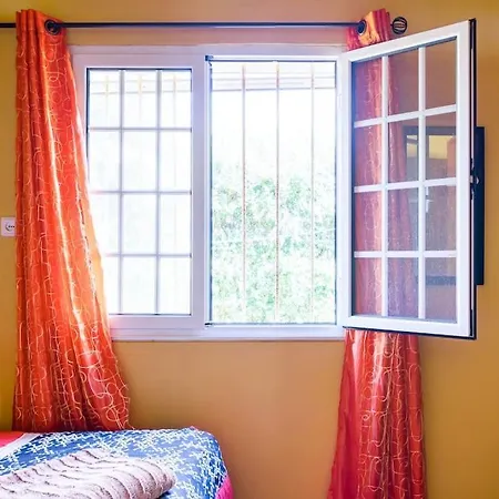 In Azores - S. Miguel